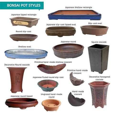 Bonsai Pot Styles