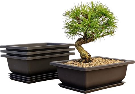 Bonsai Pots On Amazon