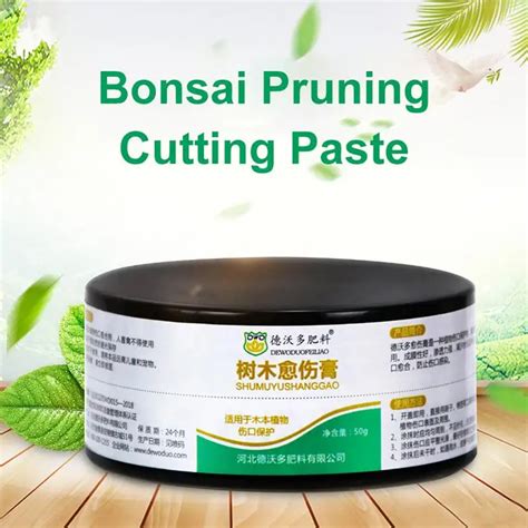 Bonsai Pruning Paste