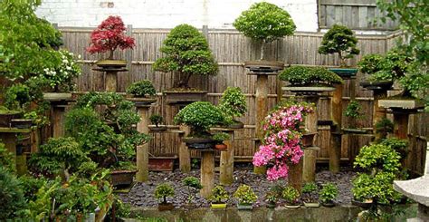 Bonsai Rotating Garden