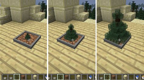 bonsai trees mod minecraft