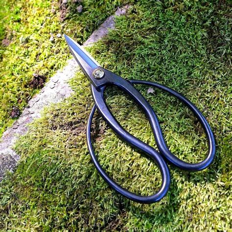 Bonsai Trimming Scissors