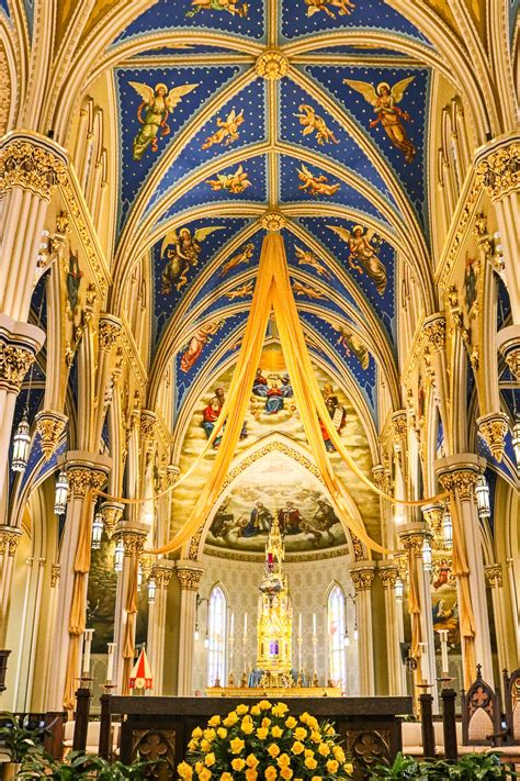 book on sacred heart basilica notre dame in