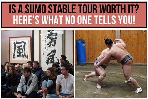 book sumo tour