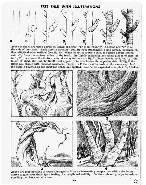 book tree drawing