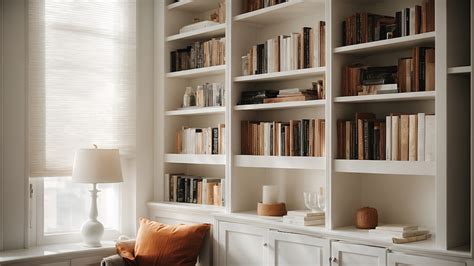 Bookcase ex Background