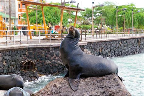 booking galapagos tours from quito