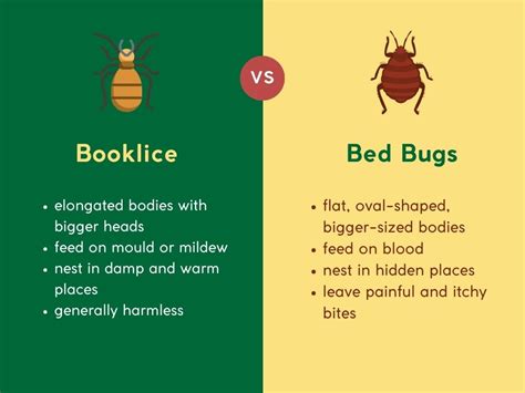 booklice vs bed bugs