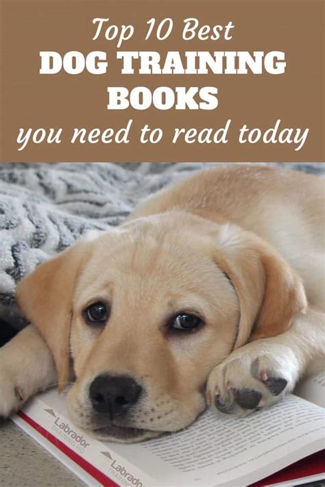 books for dog training