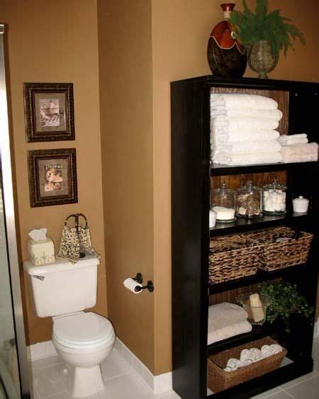 Bookshelf Bathroom