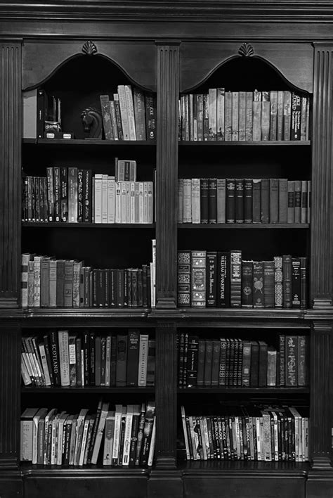 Bookshelf Dark