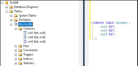boolean data type in sql server example