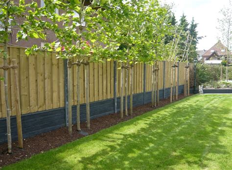 Boom Afscheiding Tuin
