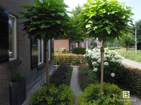 Boompjes In De Voortuin