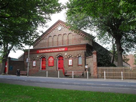 booth museum brighton