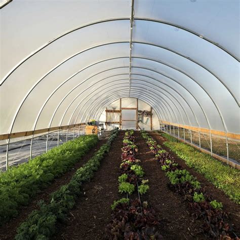 bootstrap farmer greenhouse kit