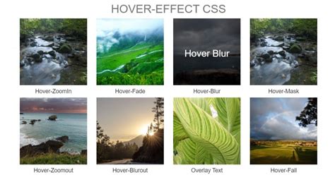 Bootstrap Hover Effects