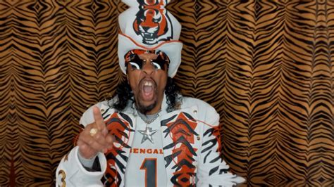 bootsy collins fear the tiger