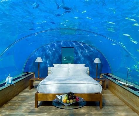 bora bora underwater hotel room