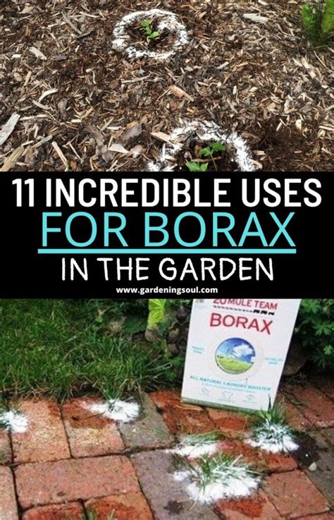 Borax Powder Generise