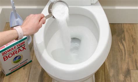 Best Way To Clean Toilet Bowl Ring keefedanyelpro