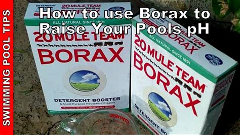 Borax In A Pool We would like to get the pool in the back yard