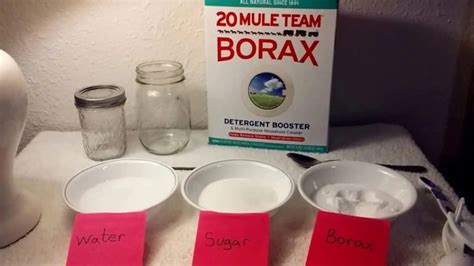 borax acid for ants
