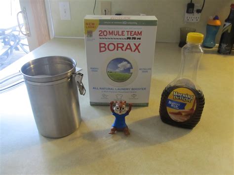 borax and sugar for ants recipe