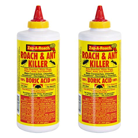 borax as roach killer