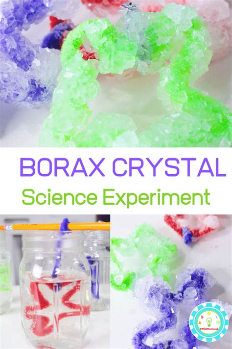 borax crystals science project