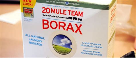 borax powder for termites