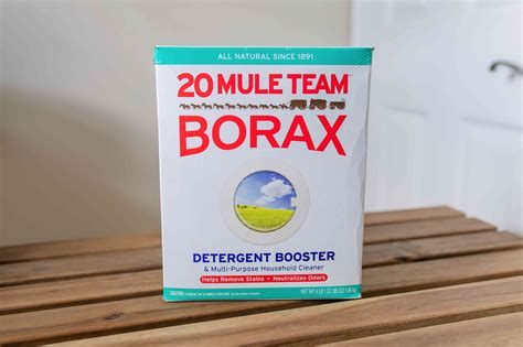 borax powder uses for cleaning