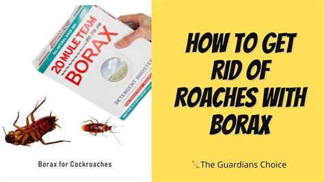 borax powder uses for cockroaches