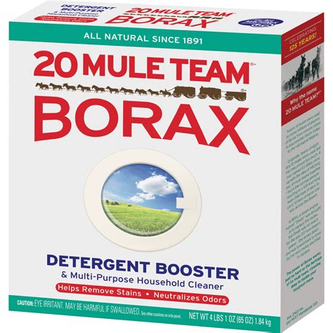 Borax the Beloved Cleaner and So Much More 4 Oz
