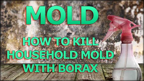 borax solution for mold