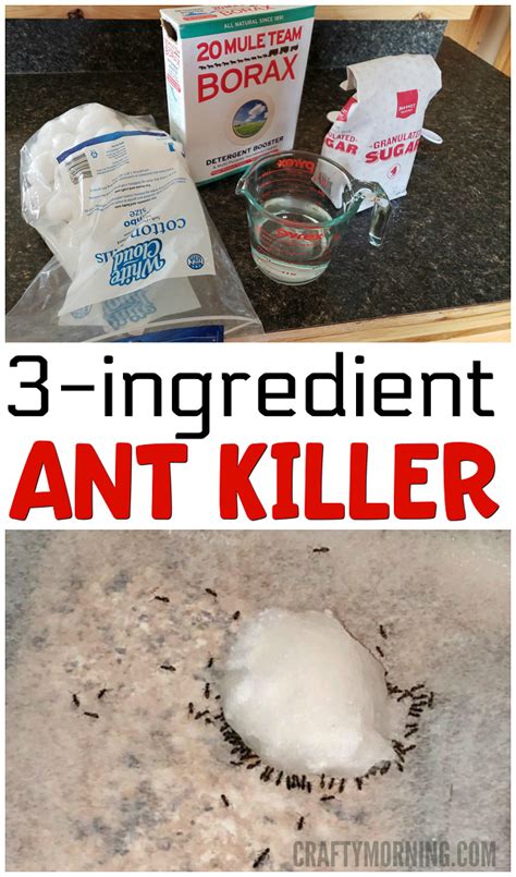 borax sugar water ant killer recipe