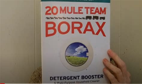 borax termite killer recipe