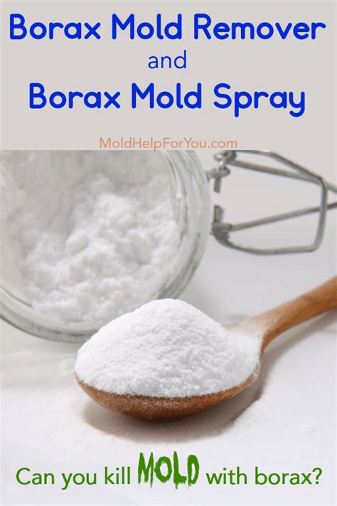 borax to remove mold