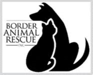 border animal rescue bisbee az
