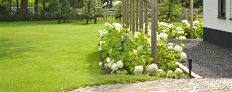 Border Bemesten Voorjaar