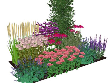 Border Beplanting Zon