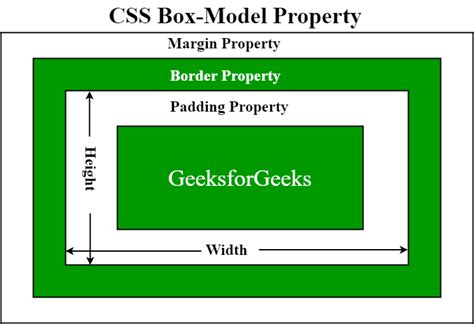 Border Box Model