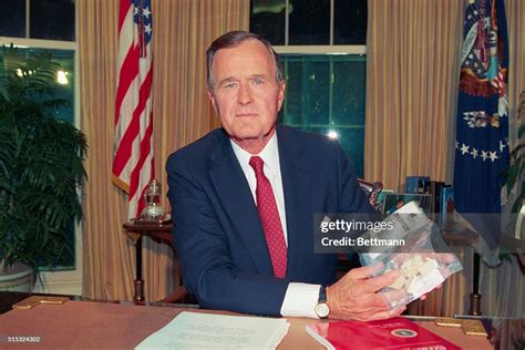 border bush crack whacked