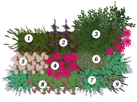 Borderbeplanting Zon