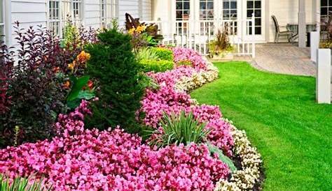 Bordure De Terrasse Fleurie Jardin Paysager Avec Gazon Arrosage Jardin Amenagement Jardin Jardins