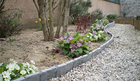 Bordure de jardin en pierre naturelle brossé 50 x 6 x 12 cm