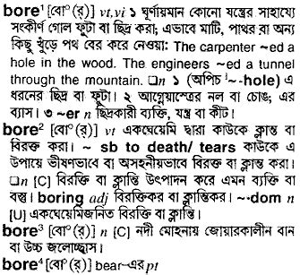 bore meaning in bangla