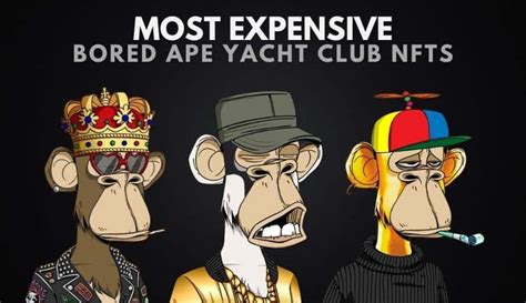 bored ape yacht club founder