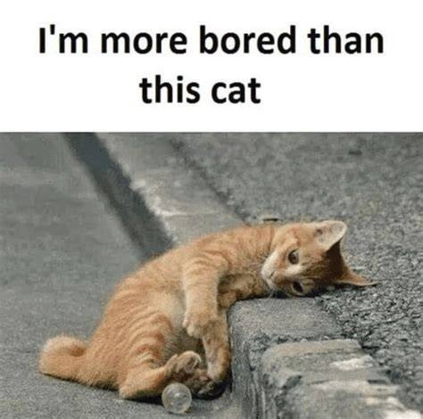 15 Amusing Bored Memes That Are Guaranteed To Entertain You