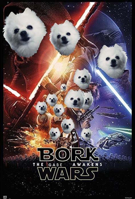 bork dog Tumblr